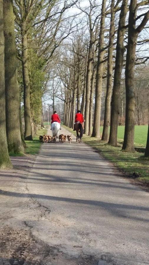 Hoeve De Laan Woudenberg Εξωτερικό φωτογραφία